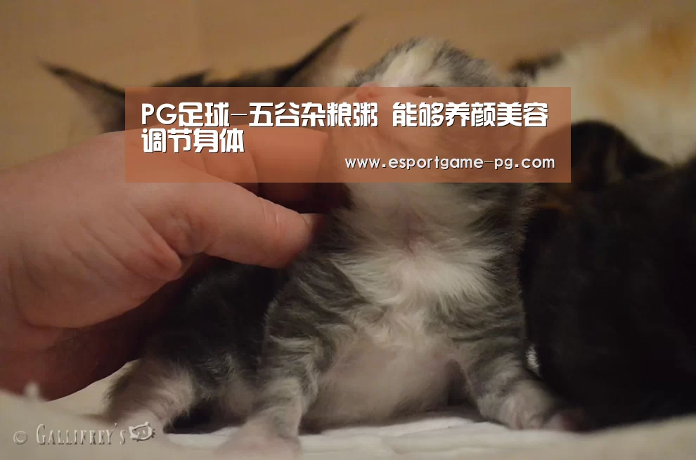 PG足球-五谷杂粮粥 能够养颜美容调节身体(图1) PG足球