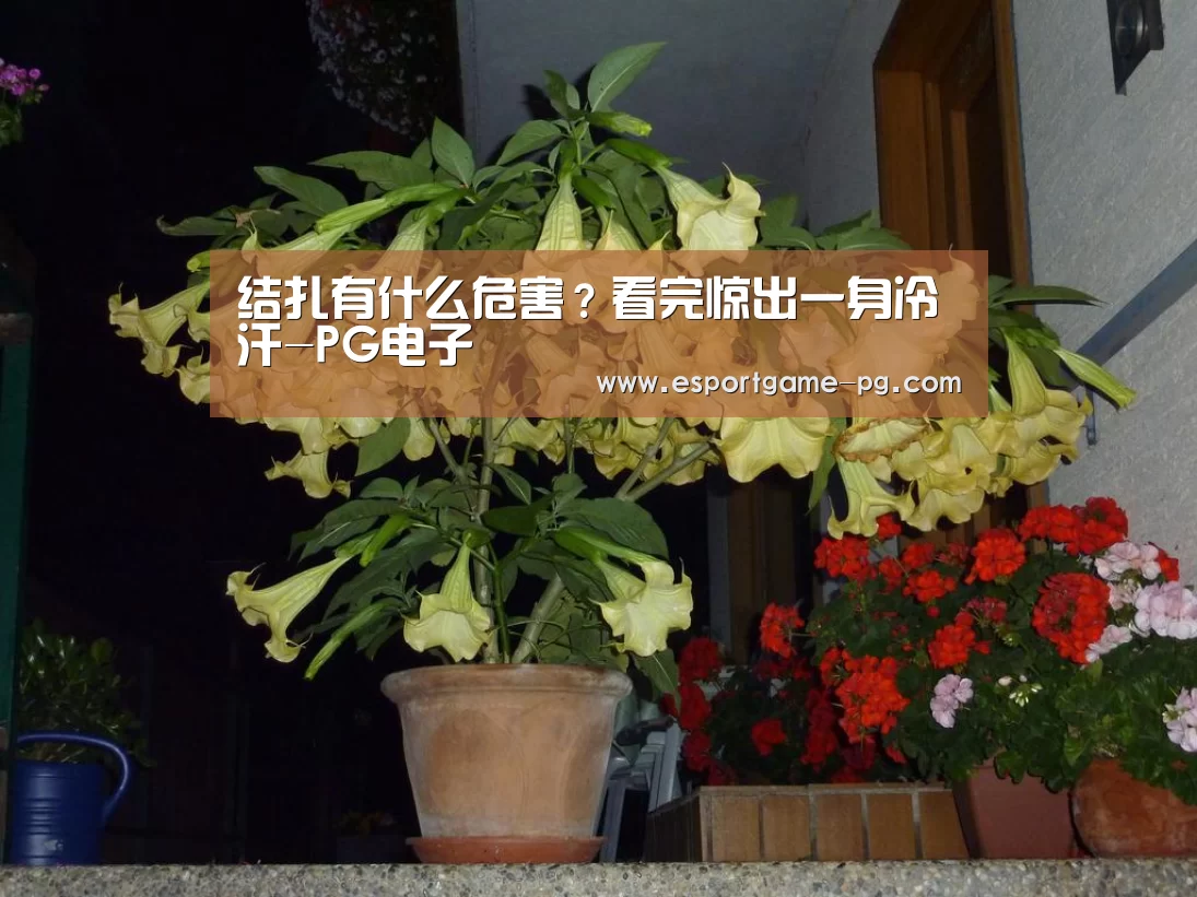 结扎有什么危害?看完惊出一身冷汗-PG电子(图1) PG足球